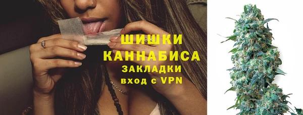 прущие грибы Коряжма