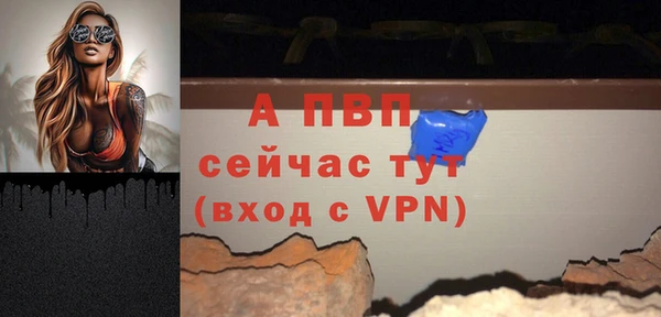 прущие грибы Коряжма