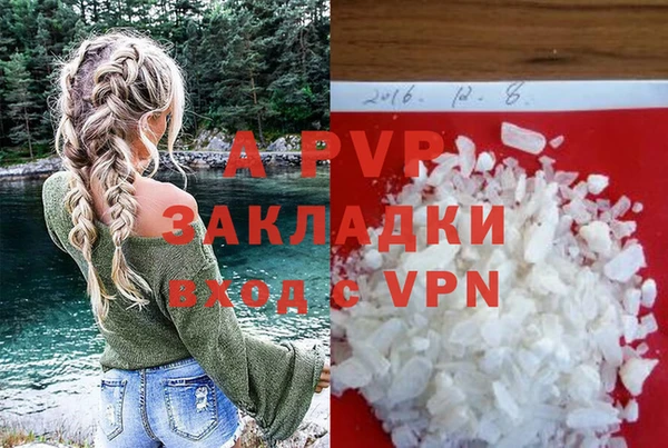 прущие грибы Коряжма
