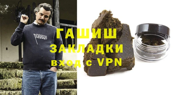прущие грибы Коряжма