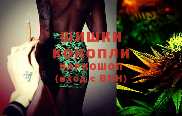 прущие грибы Коряжма